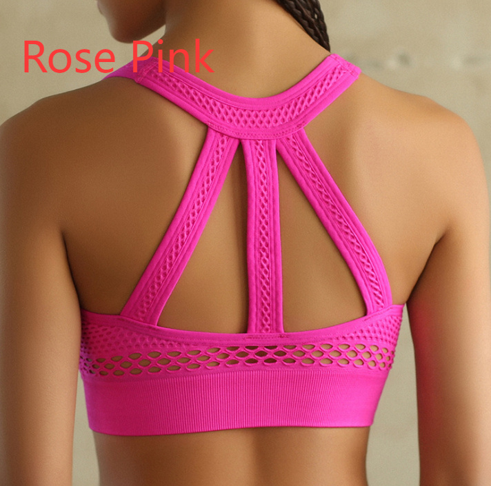 Premium Seamless Push-Up Sports Bra | High-Support Padded Activewear for Women - Image 5